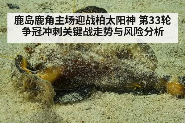 鹿岛鹿角主场迎战柏太阳神 第33轮争冠冲刺关键战走势与风险分析